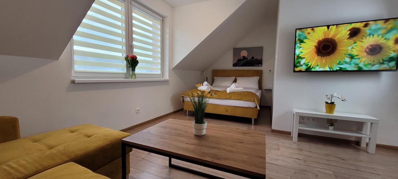 Kolorowe Cieplice - Apartamenty Z Widokiem Na Karkonosze Еленя-Гура Экстерьер фото